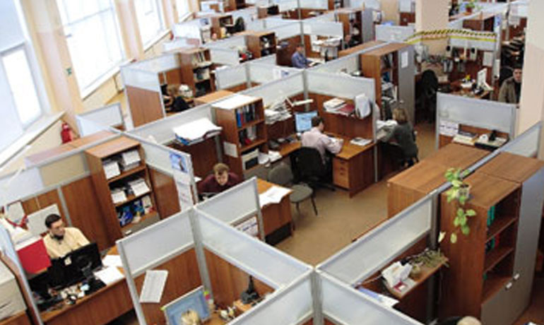 Work Permit and Visas